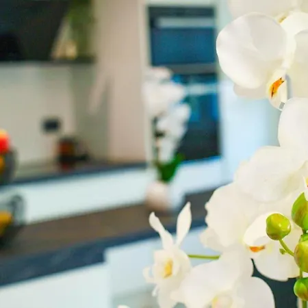 Luxury Two-bedroom By The Sea U Kalu Apartment Postira